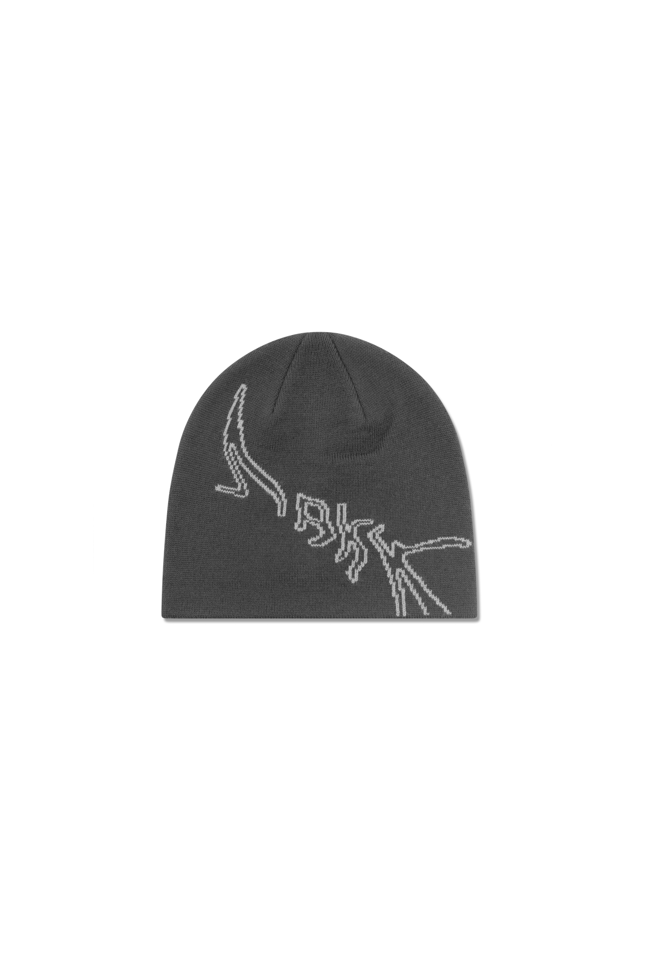 ARKK Accessories ARKK Graphic Beanie | Dark Grey Beanie